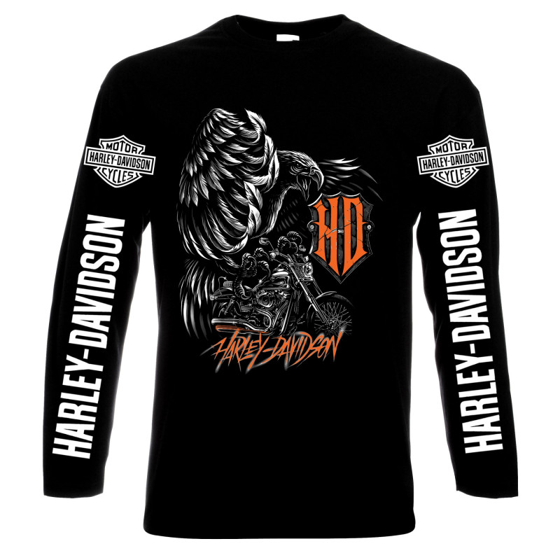 LONG SLEEVE T-SHIRTS Harley Davidson, Eagle, men's long sleeve t-shirt, 100% cotton, S to 5XL